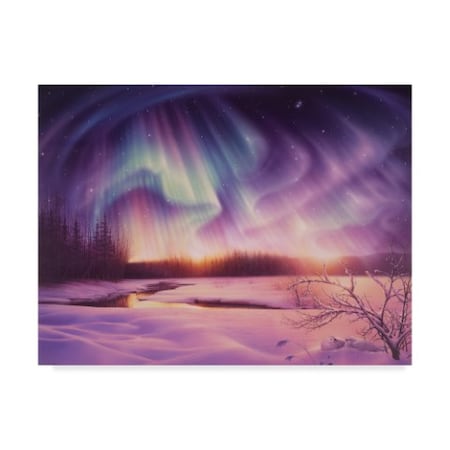 Kirk Reinert 'Beyond Splendor' Canvas Art,14x19